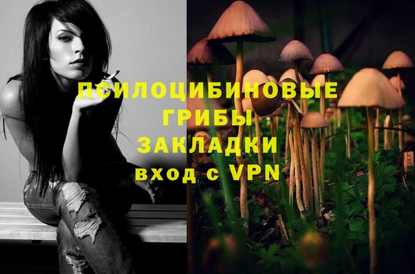 гашик Баксан