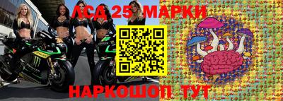 амф Сланцы