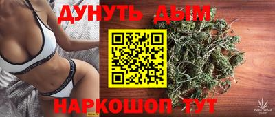 амф Сланцы