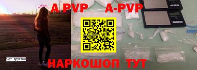 амф Сланцы
