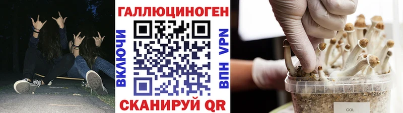 Псилоцибиновые грибы MAGIC MUSHROOMS Ногинск