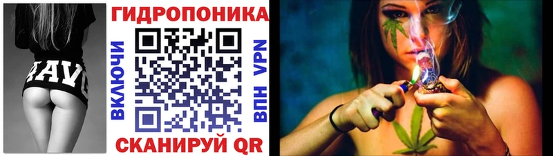 купить  цена  Ногинск  Конопля ГИДРОПОН 